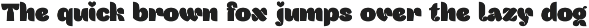 VENTRIKEL Display Variable Font preview