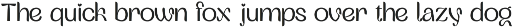 VENTRIKEL Display Variable Font preview
