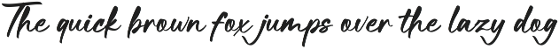 Nelagone Marker – Casual Marker Font preview