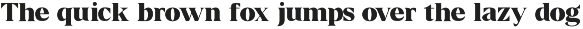 Borth Tropical Serif preview