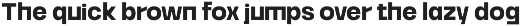 Borde - Brutalist Sans preview