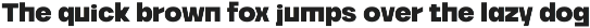 Borde - Brutalist Sans preview