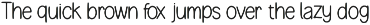 Butuji Typeface: Elegant Serif for L preview