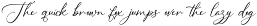 Calyvera – Quiet Signature Script preview