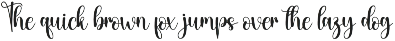 Schooling | Script Font preview