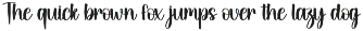 Winter Santa | Script Font preview