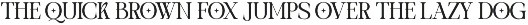 TBJ One Of A Kind Serif Font Family preview