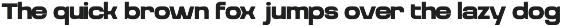 TRT Mont Broz Bold Modern Sans preview