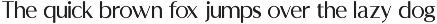 Morune Modern Elegant Sans Font preview