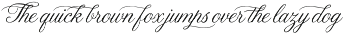 Details - Refined Font Duo preview