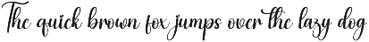 Delightful | Script Font preview