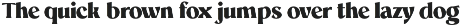 Mighast | 45 Fonts preview