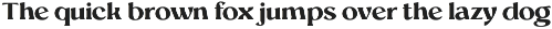 Mighast | 45 Fonts preview
