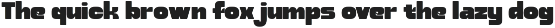 Zurico - Bold Display Font preview