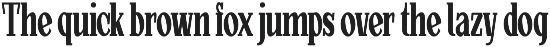 Mortgage Condensed – Classic Font preview