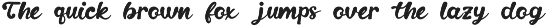 Mavienne - Retro Script Bold Font preview