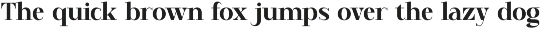 Revaltin Modern Serif Font preview