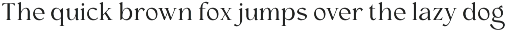 Clony – Elegant Ligature Serif preview