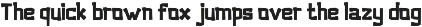 Woodpie Solid - Playful Display Type preview