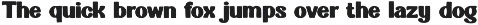 Bold Chunky preview