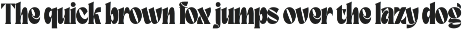 Contrast Groovy Typeface font preview