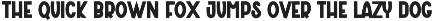 Influencer preview