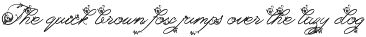 Orchid Bloom - Floral Script preview