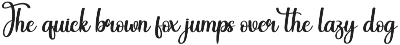 Delightful | Script Font preview