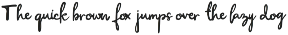 CS Sachie – Handwritten Script preview