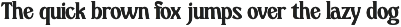 Jayadi - Branding Rounded Serif Font preview