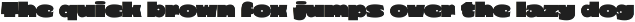 Orbold - Bold Font preview