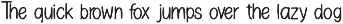 Febe - High-End Luxury Serif Typefac preview