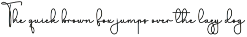 Belgian Signature preview
