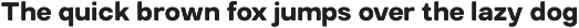 TRT Structa Pro Rounded Modern Sans preview