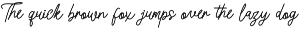 Morlintado | Monoline Script preview