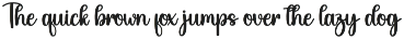 Beach Summer | Script Font preview