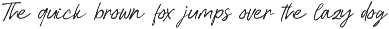 Sartyan Canish Aesthetic Dry Brush preview