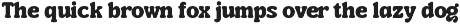 Leafy Serif Font preview