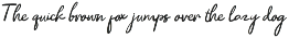 CS Soraya – Handwritten Script preview