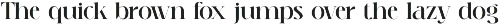 Merlya - Classic Serif Font preview