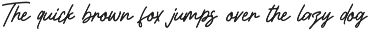 Casvatio Font Duo Script Sans preview