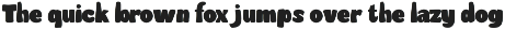 Crumfy preview