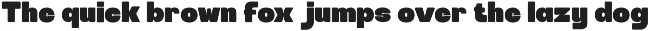 Monk Bold Display Sans Font preview