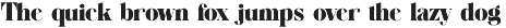 Bingah Elegant Serif Font preview