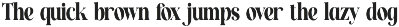 Collapse Elegant Serif Font preview