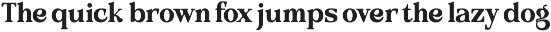 Belcino — Editorial Serif Font preview