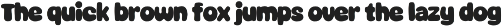 Spidle - Playful Fun Display Font preview