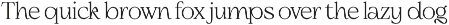 Slowdate - Beauty Elegant Ligature preview