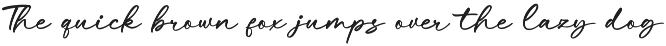 Comtic Hiden - Casual Handwritten Fo preview