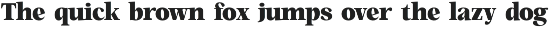 Magen Elegant Classic Serif Font preview